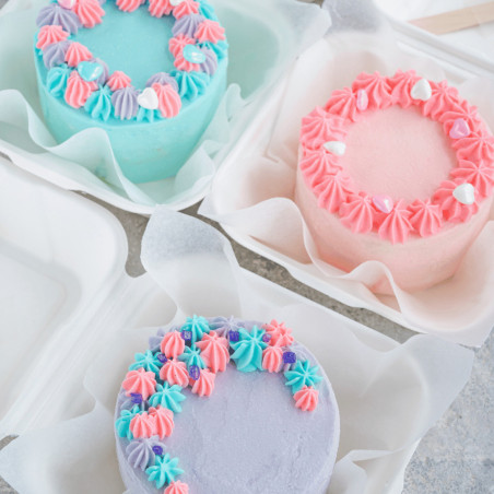 diverse torte bento
