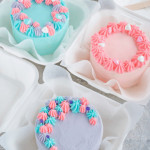 diverse torte bento