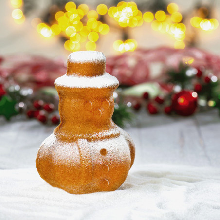 Pupazzo di neve 3D