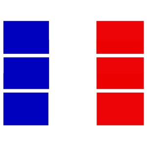 torta-contorno-bandiera-del-calcio-mondiale-francese-2018