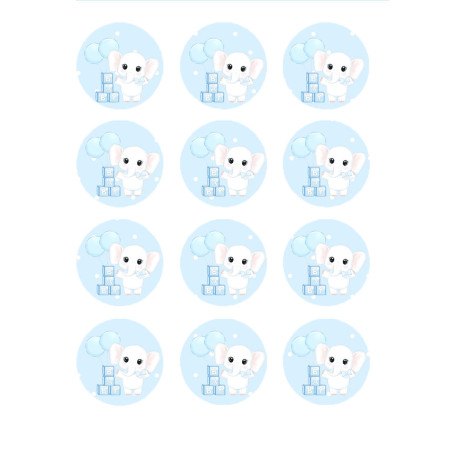 12 Mini dischetti di zucchero baby Ø 5 cm