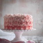 decorazione torta rosa 2d wilton