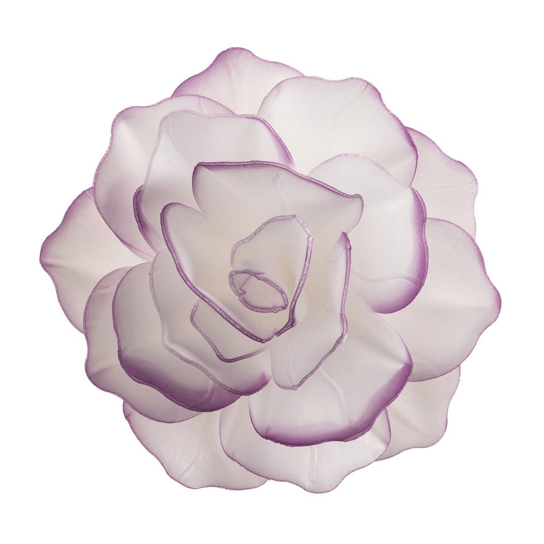 Fiore di ostia bianca con contorno viola