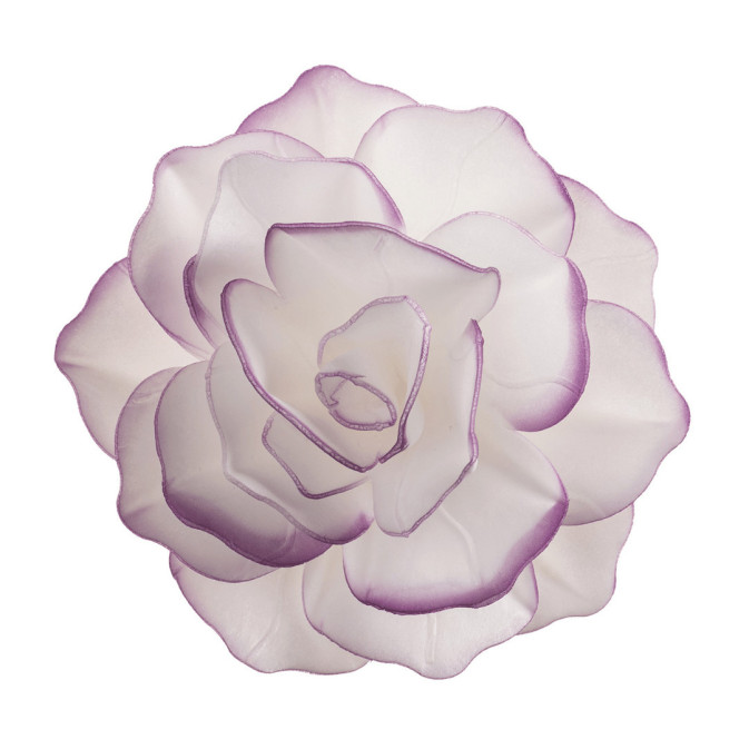 Fiore di ostia bianca con contorno viola