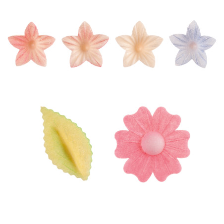 set-di-vari-fiori-commestibili