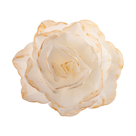 wafer bianco e oro xl