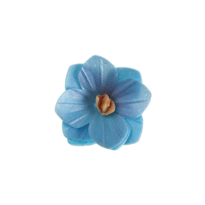 18 Fiori di cialda blu