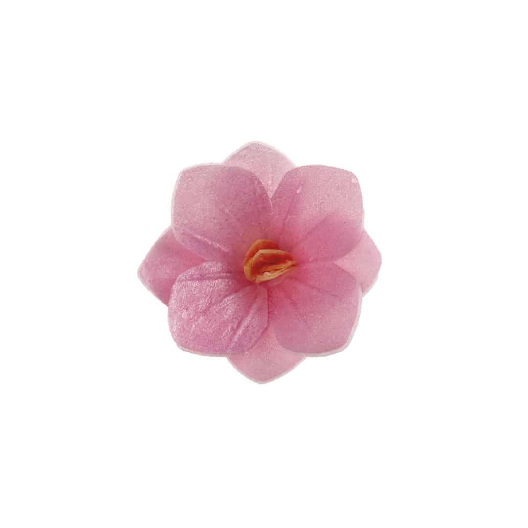 18-fiori-di-cialda-rosa
