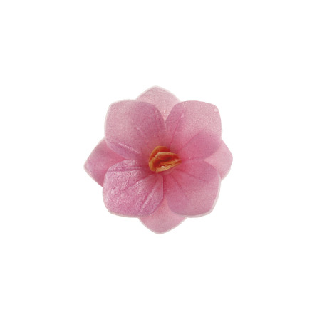 18-fiori-di-cialda-rosa