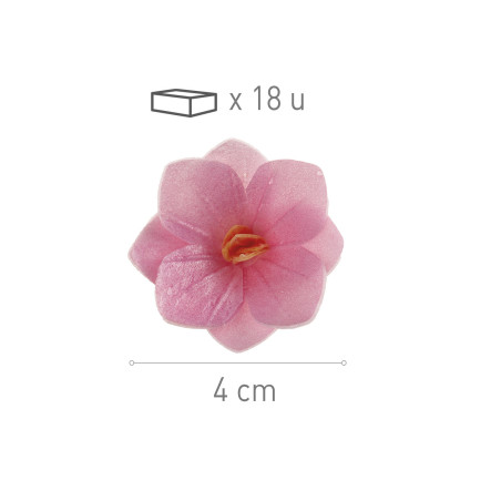 18 fiori di cialda rosa da 4 cm