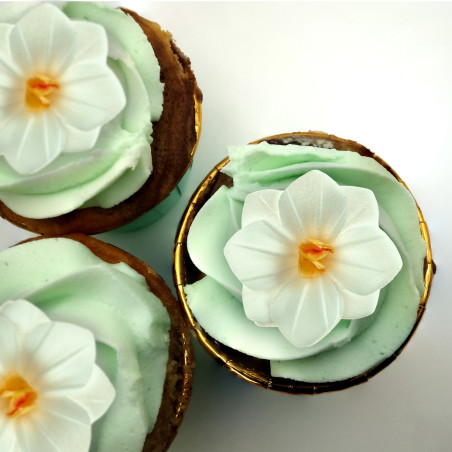 cupcakes ai fiori bianchi