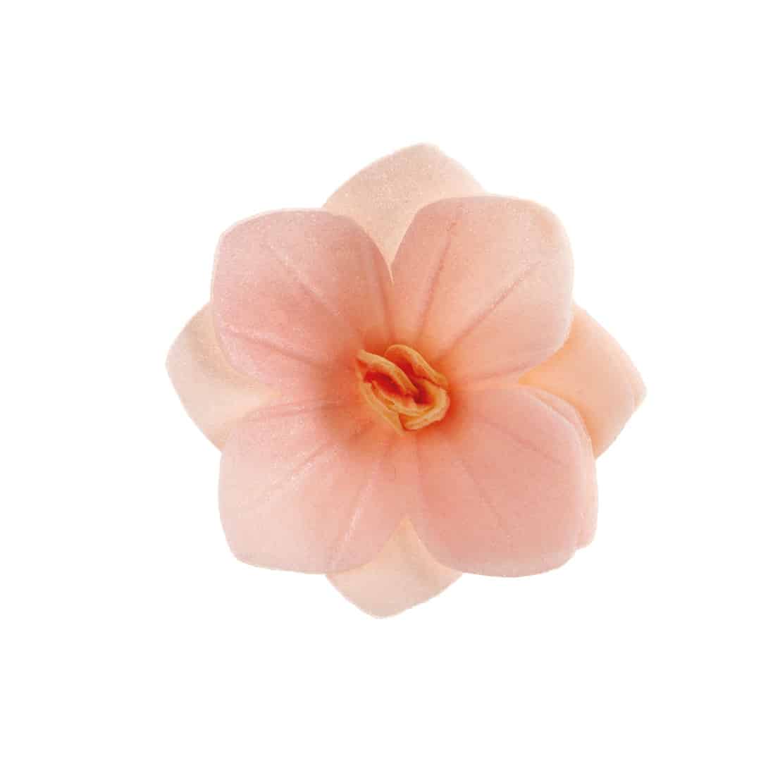18 fiori di cialda rosa chiaro