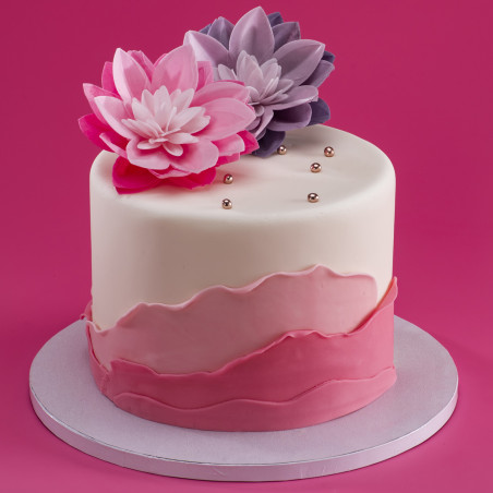 Fiore di ninfea rosa