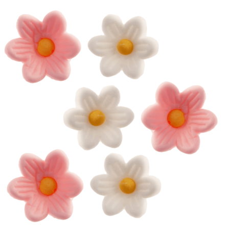 fiori rosa e bianchi