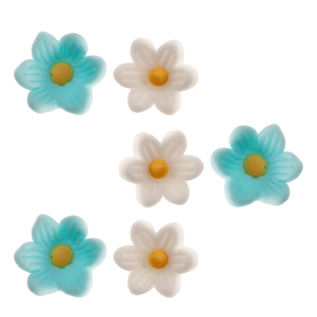 fiori blu e bianchi