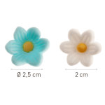dimensioni Fiori di zucchero blu e bianchi