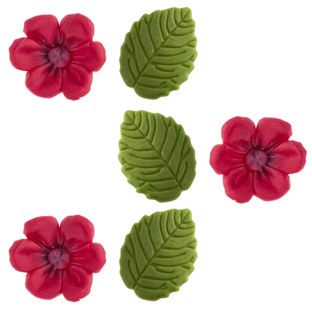 Fiori fucsia e foglie di zucchero