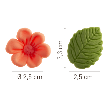 dimensioni fiori e foglie rosa pastello