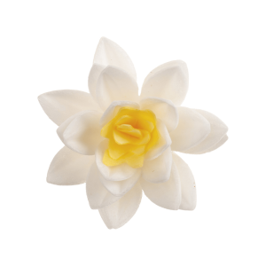 10 fiori di cialda bianchi Dekora