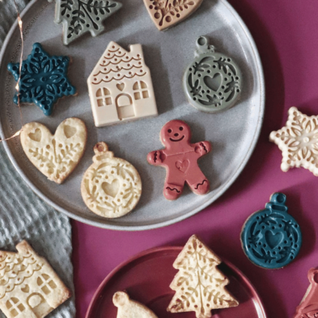 Biscotti di Natale con stampo in silicone