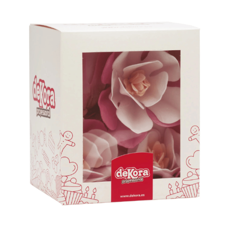 magnolia-rosa-cialda