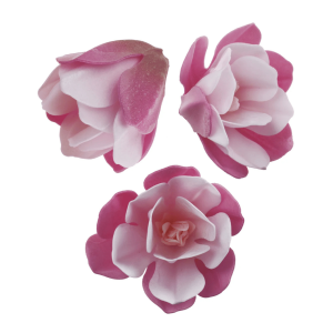 6 fiori di magnolia rosa e bianchi