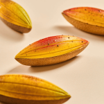 Stampo trompe l'oeil per cialde di cacao Silikomart