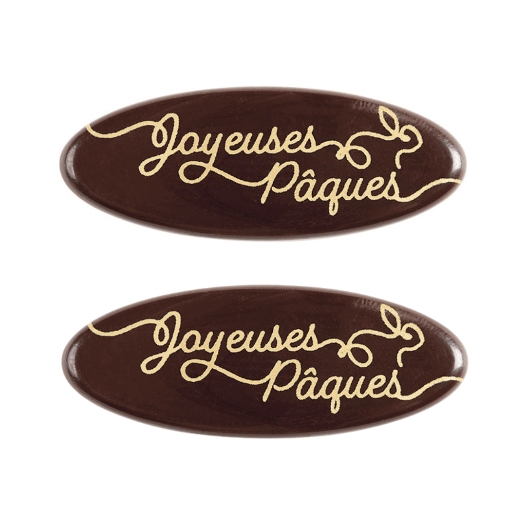 Décor en chocolat "Joyeuse Pâques" x2