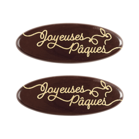 Décor en chocolat "Joyeuse Pâques" x2