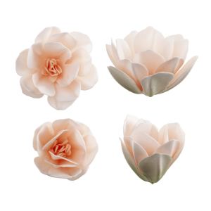 6 Fiori di Magnolia in Ostia 7 cm | Decorazione della torta