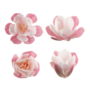 6 magnolie rosa e bianche in cialda da 6,5 cm per decorare torte