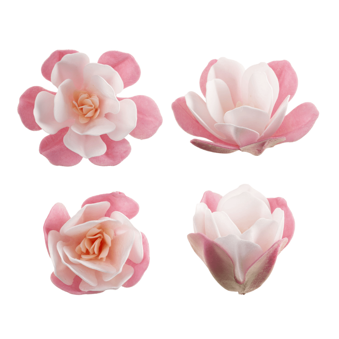6 magnolie rosa e bianche in cialda da 6,5 cm per decorare torte