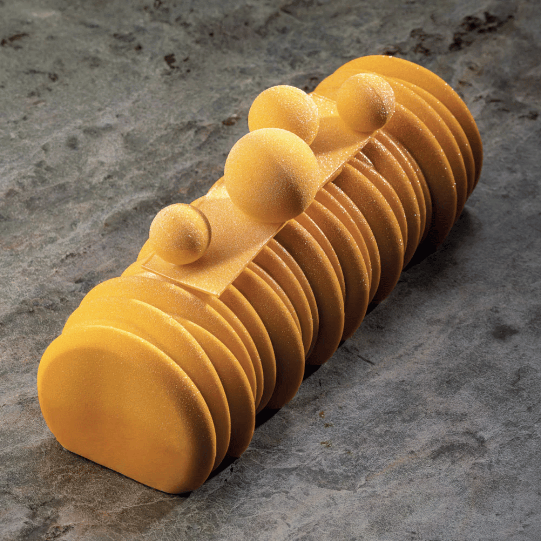 Tronchetto di Natale al mango con stampo per tronchetto di Natale Sequoia Pavoni