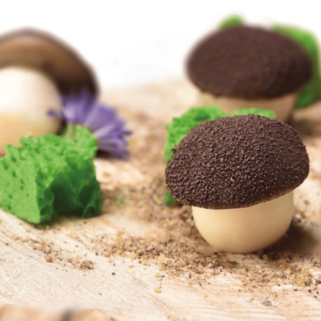 Trompe l'oeil di funghi con stampo 3D PAVONI