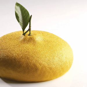 Torta trompe l'oeil al limone di Cedric Grolet