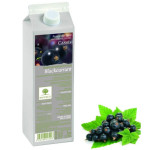 Purea di ribes nero-1kg