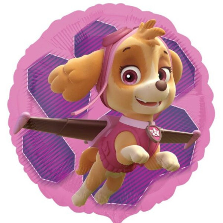 Palloncino Paw Patrol per bambina