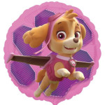 Palloncino Paw Patrol per bambina