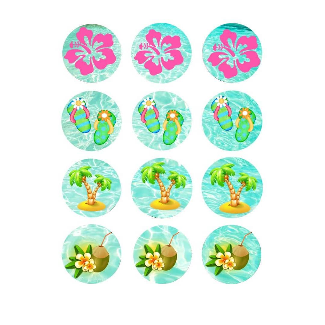 12-Mini-dischi-di-zucchero-cupcakes-vaiana