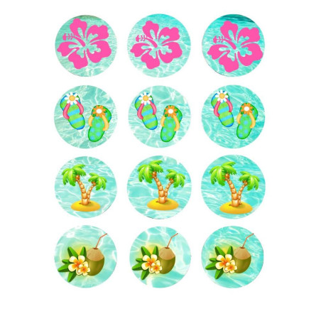 12-Mini-dischi-di-zucchero-cupcakes-vaiana