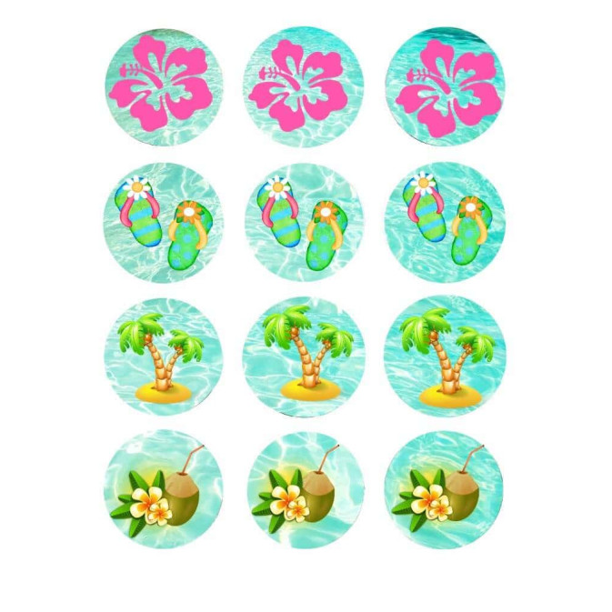 12-Mini-dischi-di-zucchero-cupcakes-vaiana