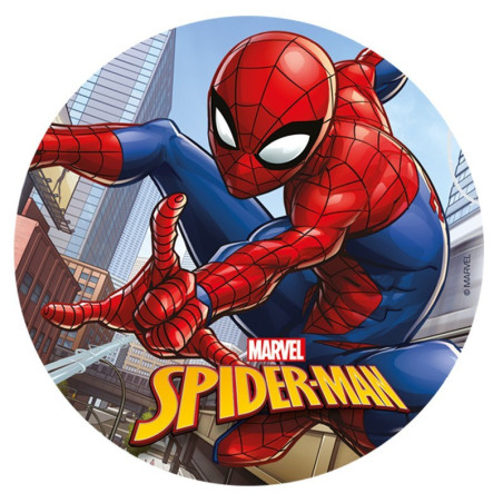 Matzo-Spiderman-20-cm