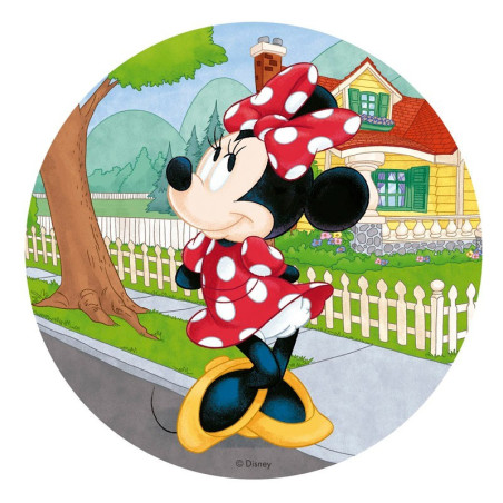 torta-wafer-minnie-20-cm