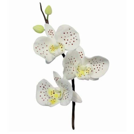 set di 3 stampini per orchidee da 8 cm