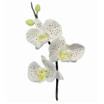 set di 3 stampini per orchidee da 8 cm