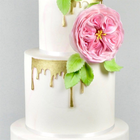 cake-design-gateau-dip'n-drip