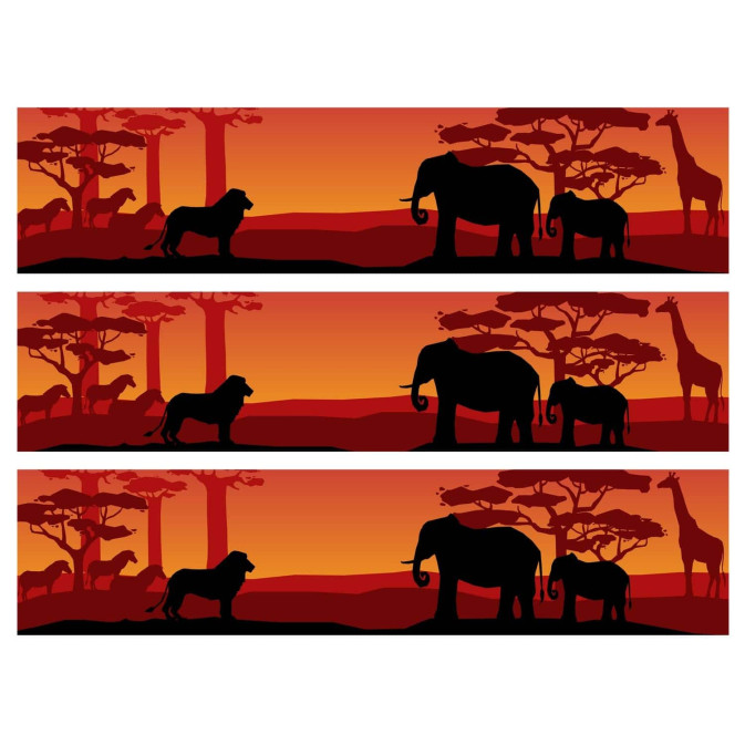 contorno-commestibile-per-torta-safari