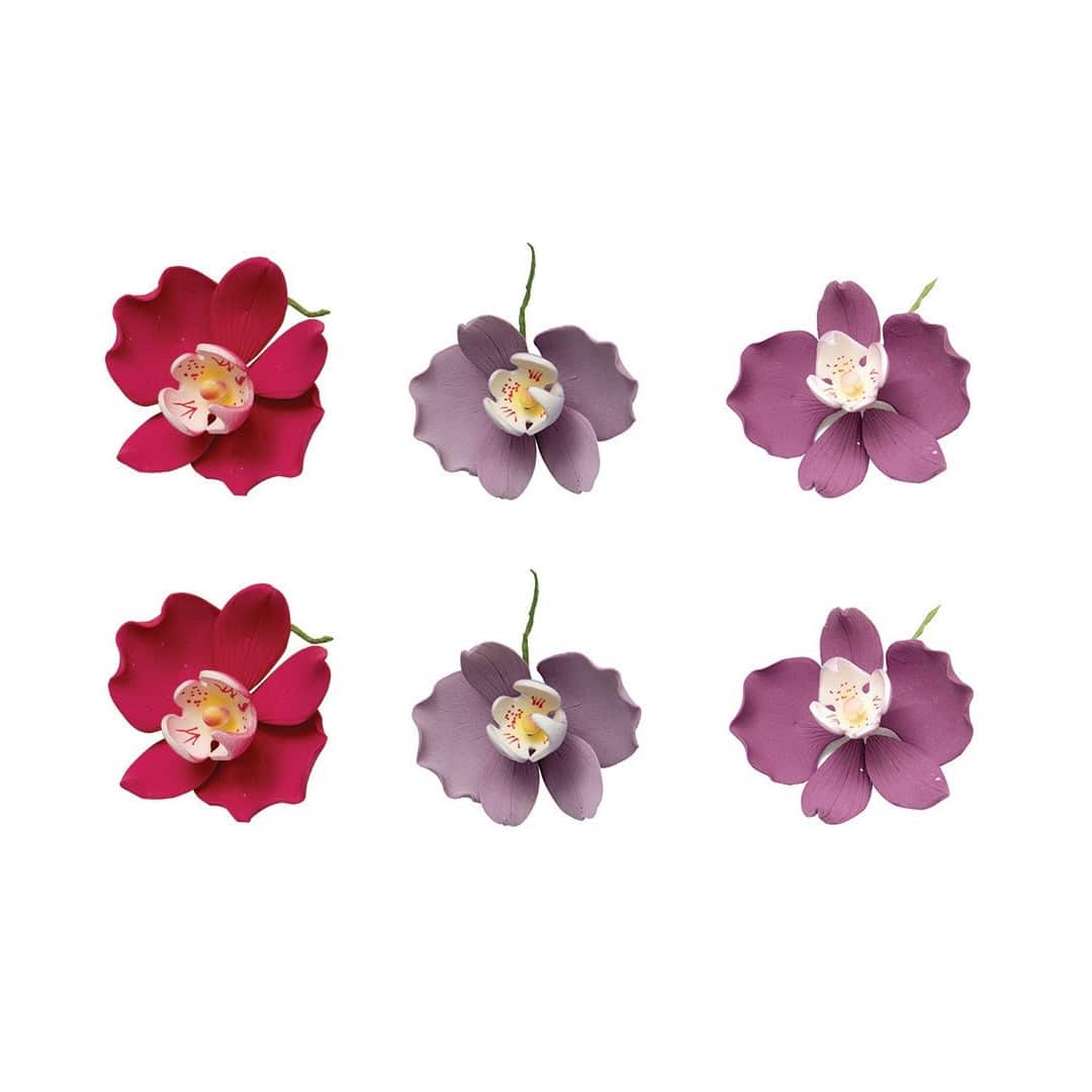 6 fiori di orchidea in zucchero da 75 cm