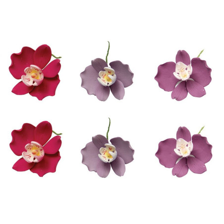 6 fiori di orchidea in zucchero da 75 cm
