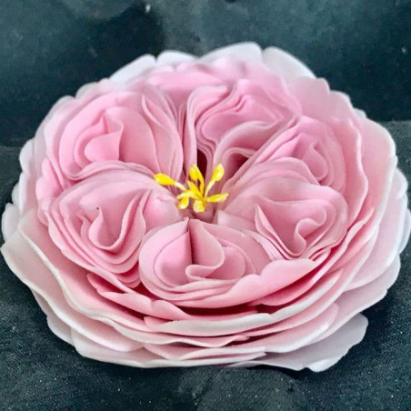 kit-3-pezzi-tagliapasta-design-torta-rosa-inglese